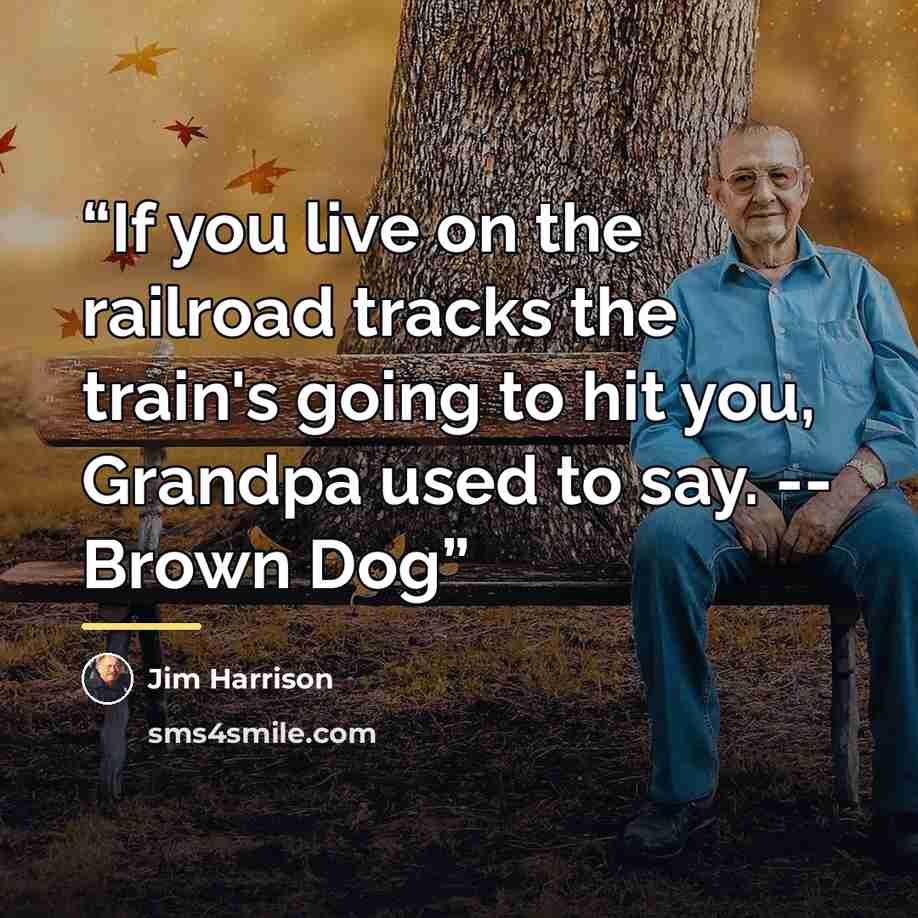 “If you live on the railroad tracks the train's going to hit you, Grandpa used to say. -- Brown Dog” quote by Jim Harrison