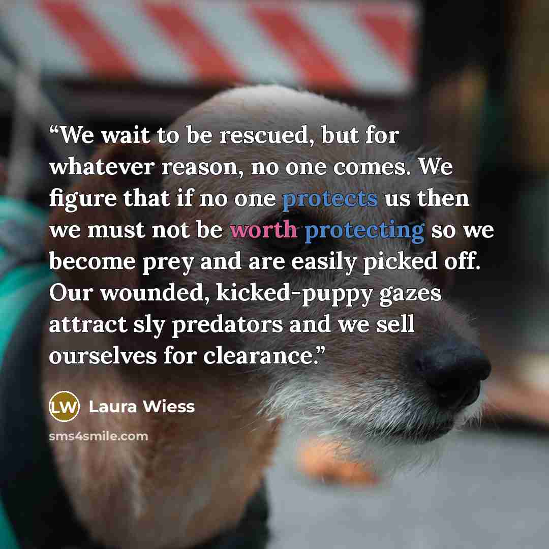 “We wait to be rescued, but for whatever reason, no one comes. We figure that if no one protects us then we must not be worth protecting so we become prey and are easily picked off. Our wounded, kicked-puppy gazes attract sly predators and we sell ourselves for clearance.” quote by Laura Wiess