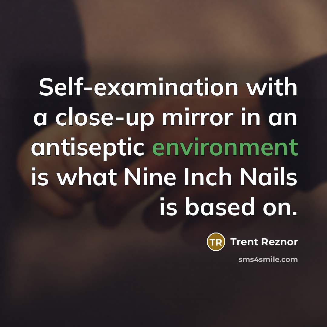 “Self-examination with a close-up mirror in an antiseptic environment is what Nine Inch Nails is based on.” quote by Trent Reznor