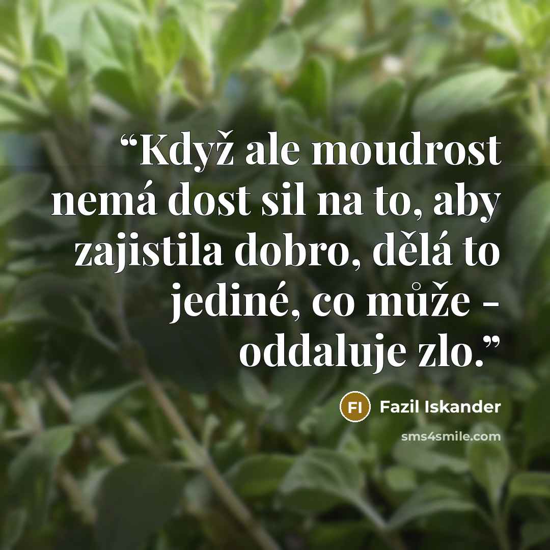“Když ale moudrost nemá dost sil na to, aby zajistila dobro, dělá to jediné, co může - oddaluje zlo.” quote by Fazil Iskander