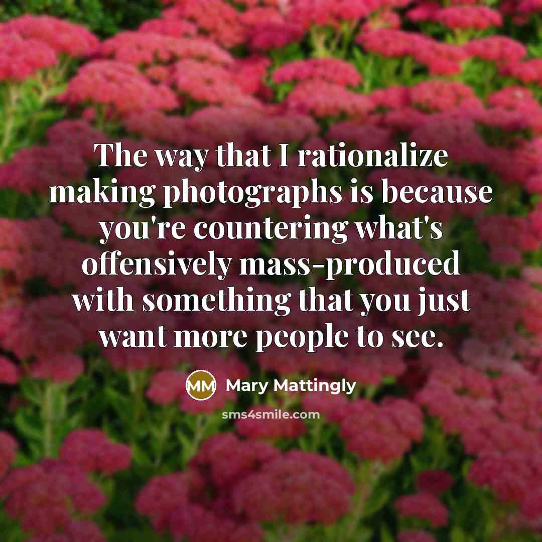 “The way that I rationalize making photographs is because you're countering what's offensively mass-produced with something that you just want more people to see.” quote by Mary Mattingly