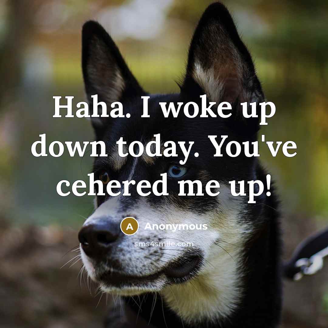 “Haha. I woke up down today. You've cehered me up!” quote by Anonymous