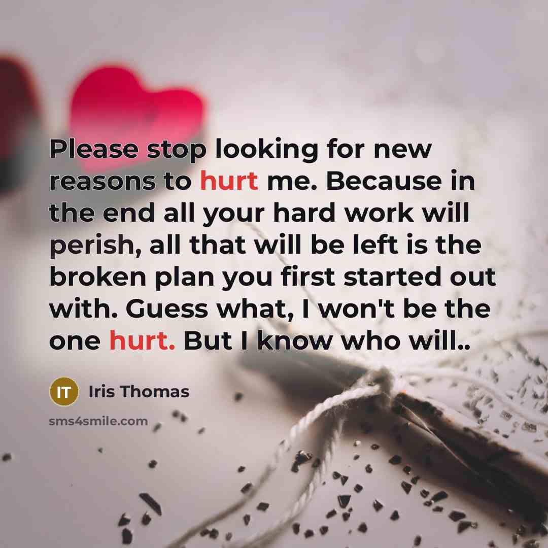 “Please stop looking for new reasons to hurt me. Because in the end all your hard work will perish, all that will be left is the broken plan you first started out with. Guess what, I won't be the one hurt. But I know who will..” quote by Iris Thomas