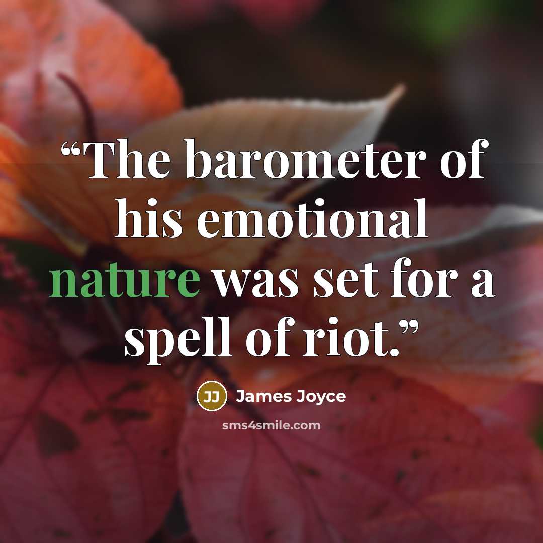 “The barometer of his emotional nature was set for a spell of riot.” quote by James Joyce