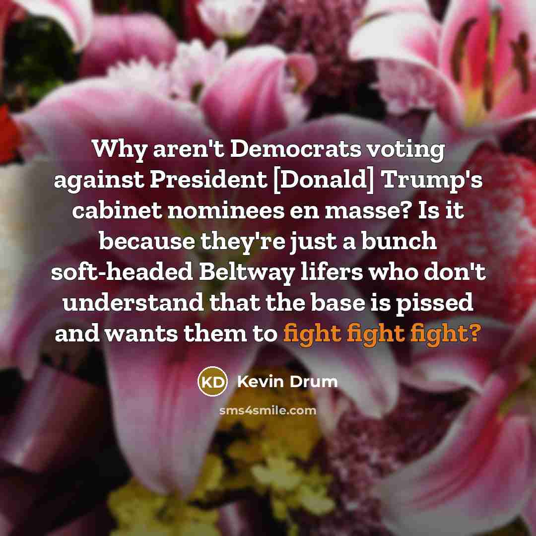 “Why aren't Democrats voting against President [Donald] Trump's cabinet nominees en masse? Is it because they're just a bunch soft-headed Beltway lifers who don't understand that the base is pissed and wants them to fight fight fight?” quote by Kevin Drum