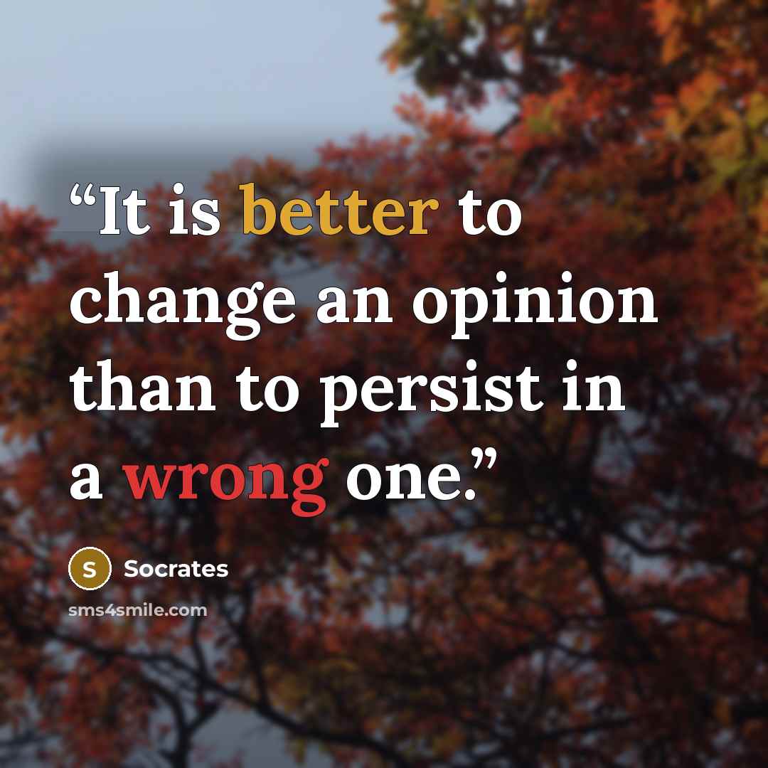 “It is better to change an opinion than to persist in a wrong one.” quote by Socrates