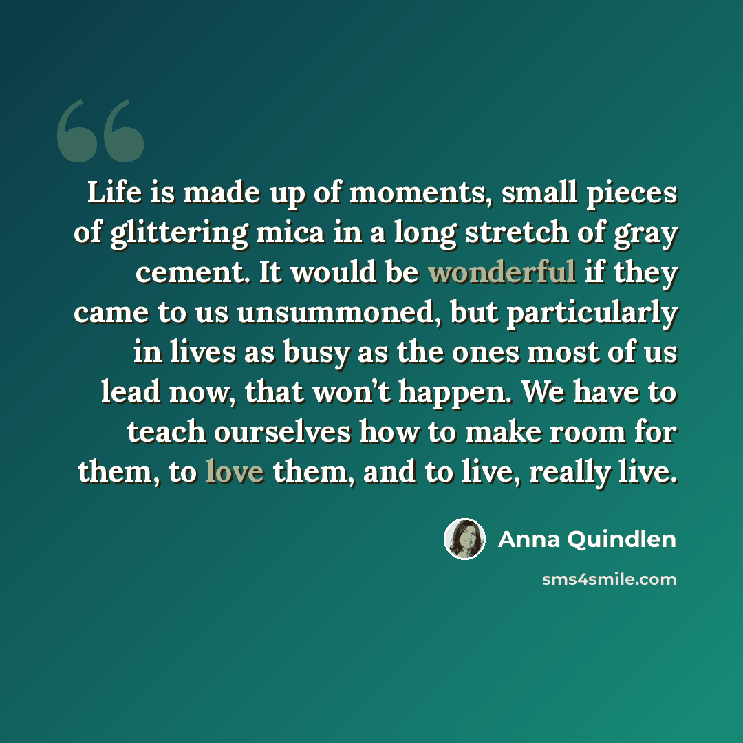 “Life is made up of moments, small pieces of glittering mica in a long stretch of gray cement. It would be wonderful if they came to us unsummoned, but particularly in lives as busy as the ones most of us lead now, that won’t happen. We have to teach ourselves how to make room for them, to love…” quote by Anna Quindlen
