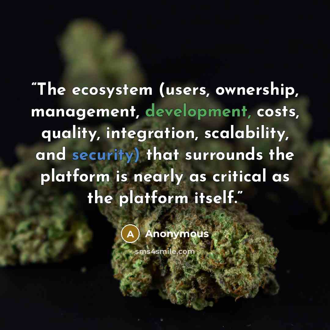 “The ecosystem (users, ownership, management, development, costs, quality, integration, scalability, and security) that surrounds the platform is nearly as critical as the platform itself.” quote by Anonymous