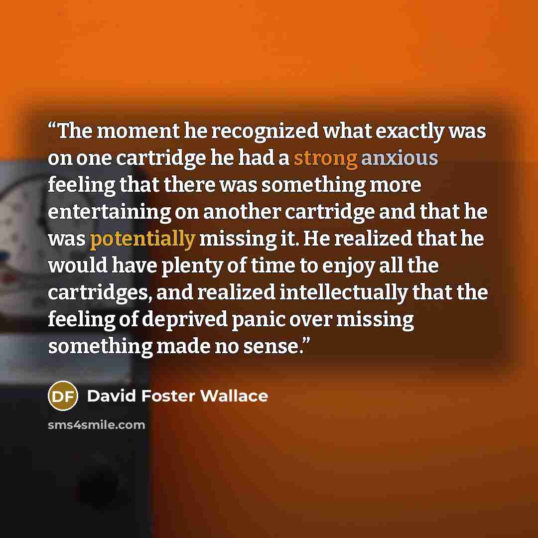 “The moment he recognized what exactly was on one cartridge he had a strong anxious feeling that there was something more entertaining on another cartridge and that he was potentially missing it. He realized that he would have plenty of time to enjoy all the cartridges, and realized intellectually…” quote by David Foster Wallace