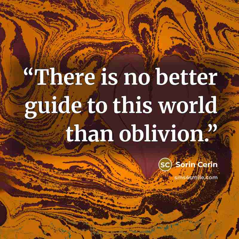 “There is no better guide to this world than oblivion.” quote by Sorin Cerin