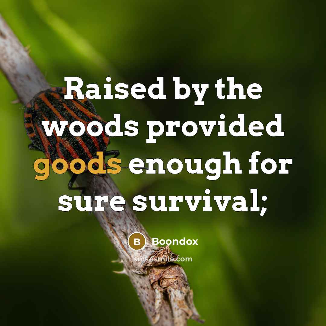 “Raised by the woods provided goods enough for sure survival;” quote by Boondox