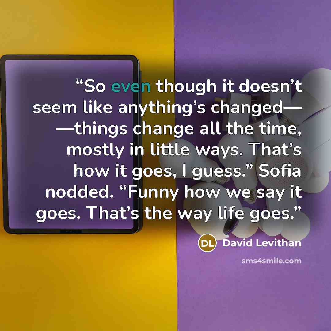 “So even though it doesn’t seem like anything’s changed— —things change all the time, mostly in little ways. That’s how it goes, I guess.” Sofia nodded. “Funny how we say it goes. That’s the way life goes.” quote by David Levithan