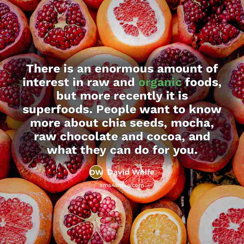 “There is an enormous amount of interest in raw and organic foods, but more recently it is superfoods. People want to know more about chia seeds, mocha, raw chocolate and cocoa, and what they can do for you.” quote by David Wolfe
