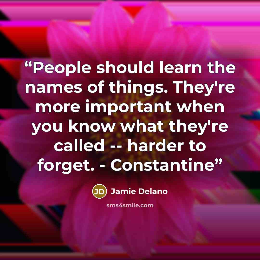 “People should learn the names of things. They're more important when you know what they're called -- harder to forget. - Constantine” quote by jamie delano
