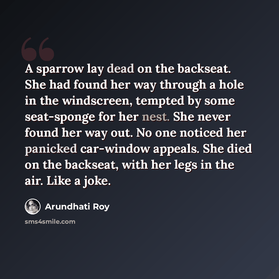 “A sparrow lay dead on the backseat. She had found her way through a hole in the windscreen, tempted by some seat-sponge for her nest. She never found her way out. No one noticed her panicked car-window appeals. She died on the backseat, with her legs in the air. Like a joke.” quote by Arundhati Roy
