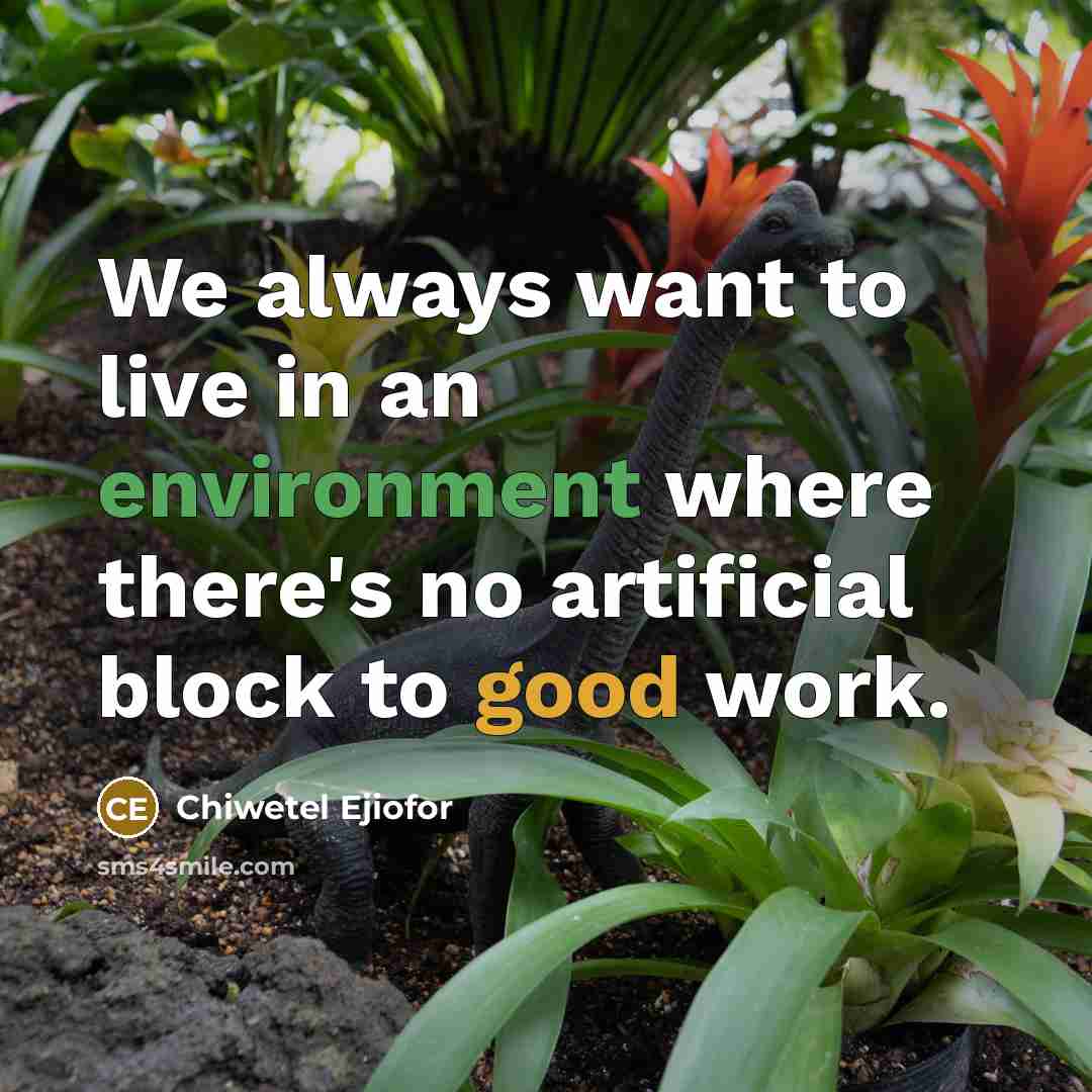 “We always want to live in an environment where there's no artificial block to good work.” quote by Chiwetel Ejiofor