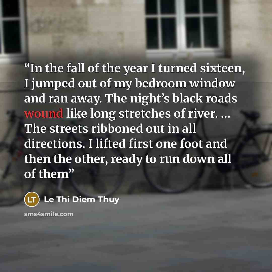 “In the fall of the year I turned sixteen, I jumped out of my bedroom window and ran away. The night’s black roads wound like long stretches of river. … The streets ribboned out in all directions. I lifted first one foot and then the other, ready to run down all of them” quote by Le Thi Diem Thuy