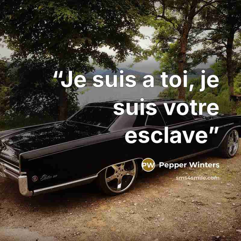 “Je suis a toi, je suis votre esclave” quote by pepper winters