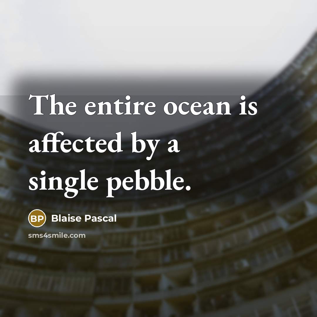 “The entire ocean is affected by a single pebble.” quote by Blaise Pascal