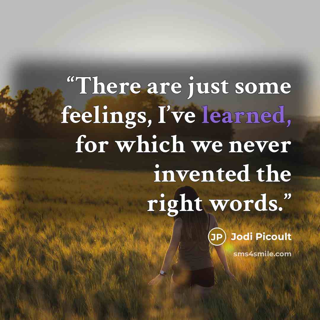 “There are just some feelings, I’ve learned, for which we never invented the right words.” quote by Jodi Picoult