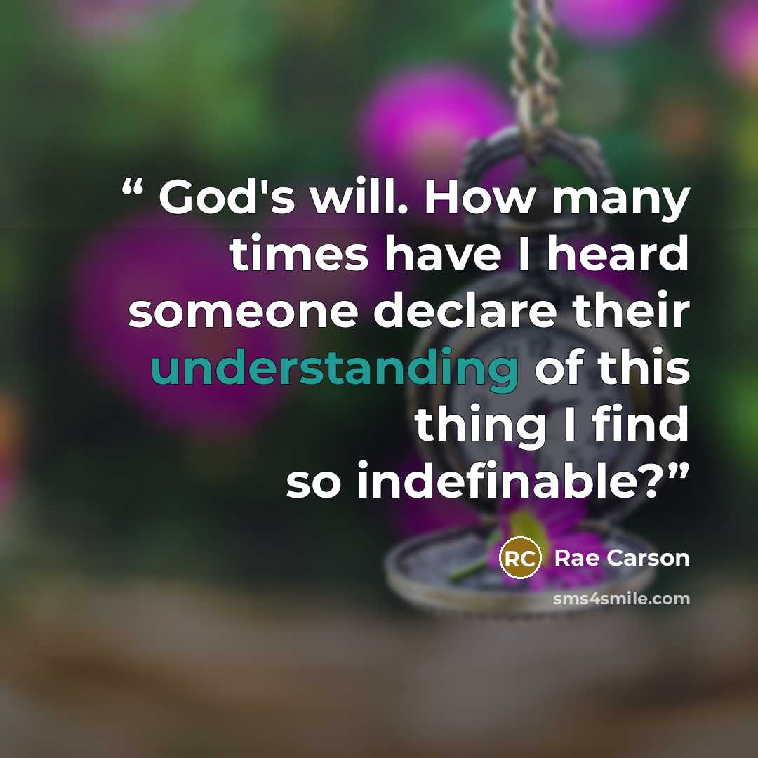 “God's will. How many times have I heard someone declare their understanding of this thing I find so indefinable?” quote by Rae Carson