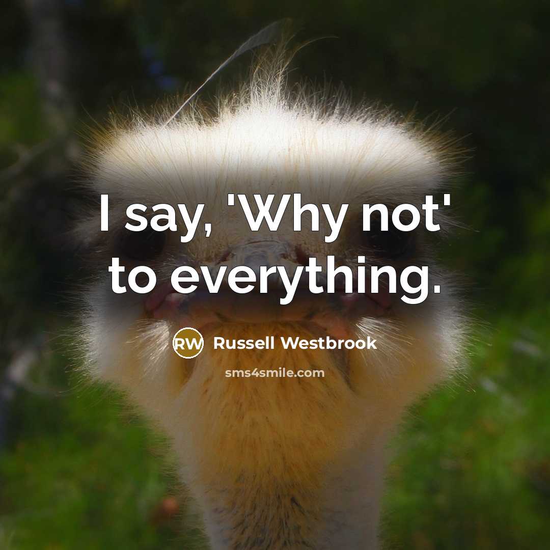 “I say, 'Why not' to everything.” quote by Russell Westbrook
