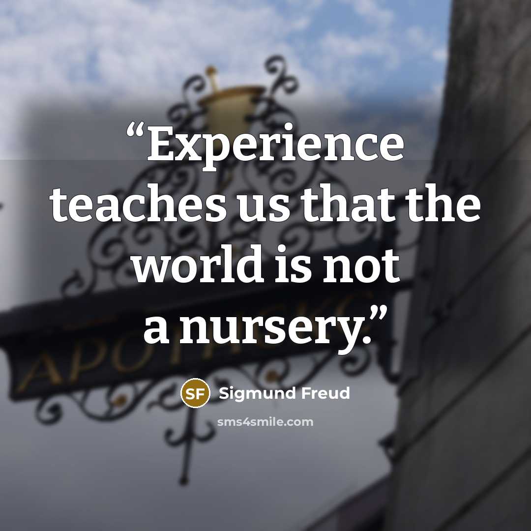 “Experience teaches us that the world is not a nursery.” quote by Sigmund Freud