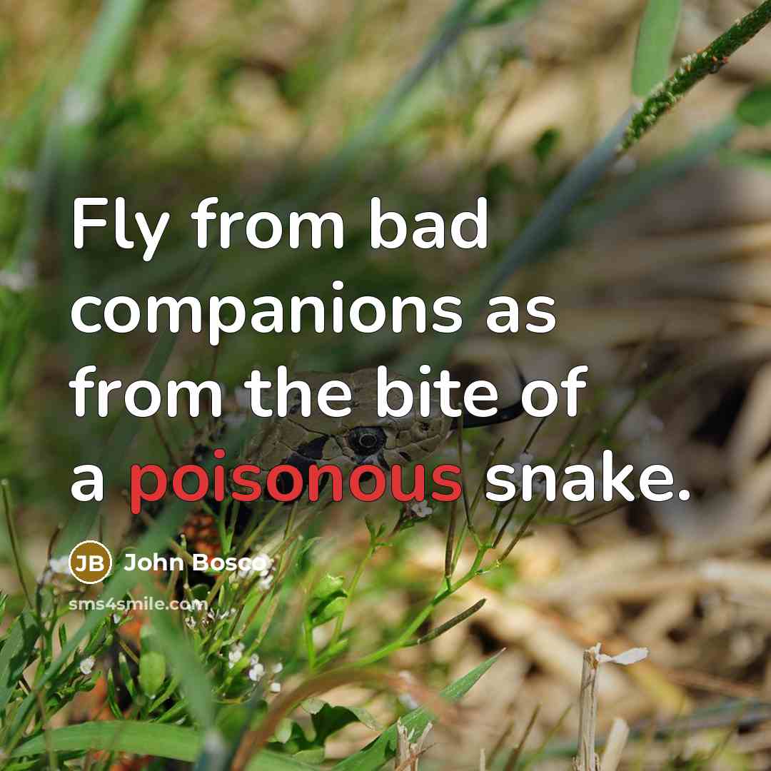 “Fly from bad companions as from the bite of a poisonous snake.” quote by John Bosco