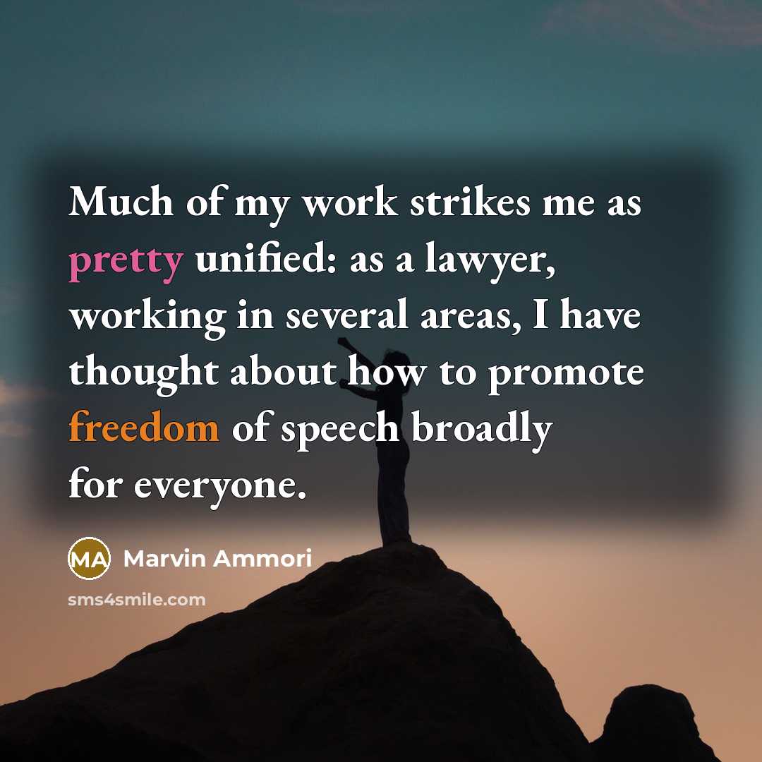 “Much of my work strikes me as pretty unified: as a lawyer, working in several areas, I have thought about how to promote freedom of speech broadly for everyone.” quote by Marvin Ammori