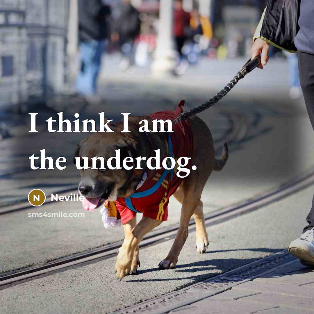 “I think I am the underdog.” quote by Neville