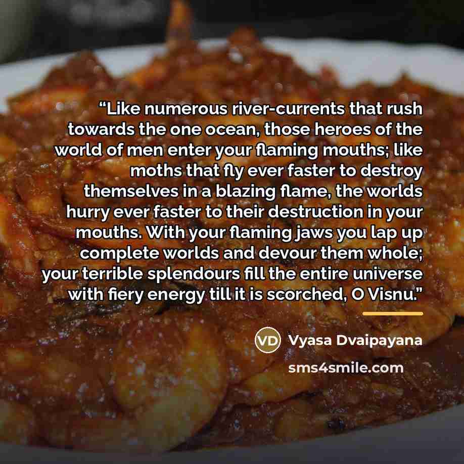 “Like numerous river-currents that rush towards the one ocean, those heroes of the world of men enter your flaming mouths; like moths that fly ever faster to destroy themselves in a blazing flame, the worlds hurry ever faster to their destruction in your mouths. With your flaming jaws you lap up…” quote by Vyasa Dvaipayana