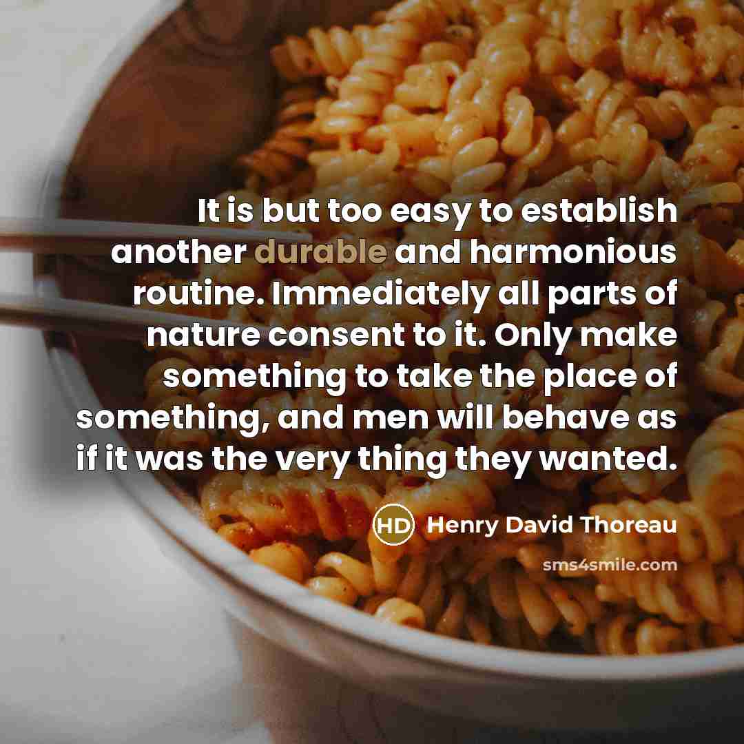 “It is but too easy to establish another durable and harmonious routine. Immediately all parts of nature consent to it. Only make something to take the place of something, and men will behave as if it was the very thing they wanted.” quote by Henry David Thoreau