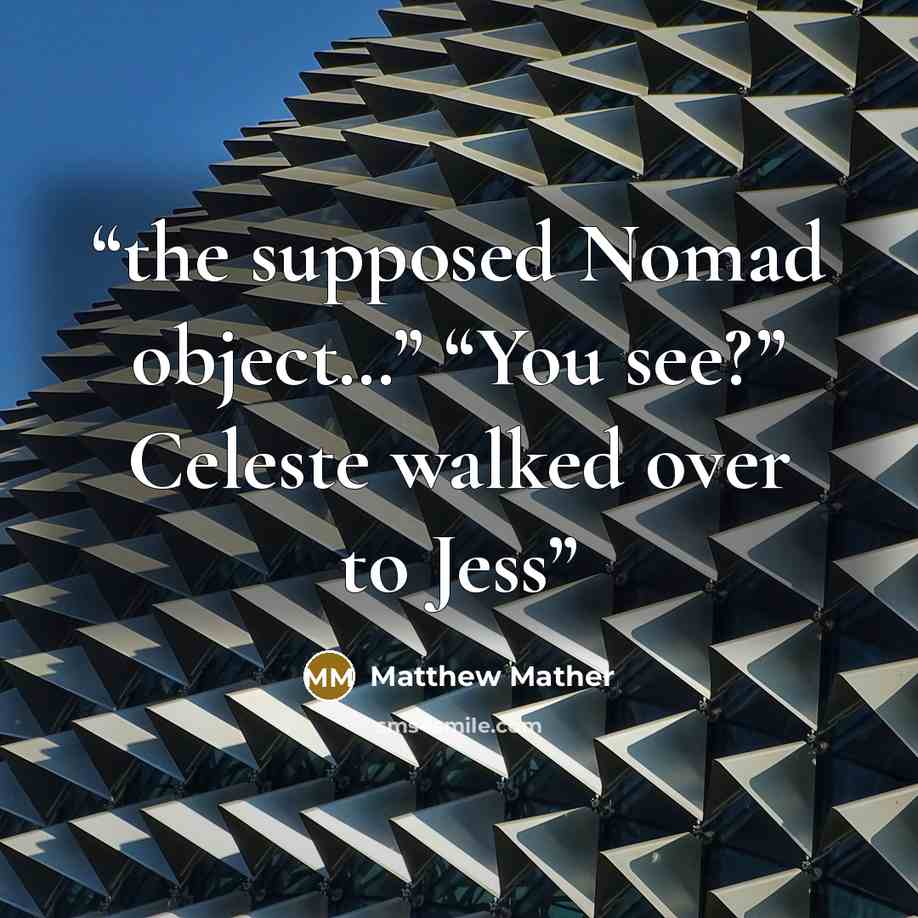“the supposed Nomad object…” “You see?” Celeste walked over to Jess” quote by Matthew Mather