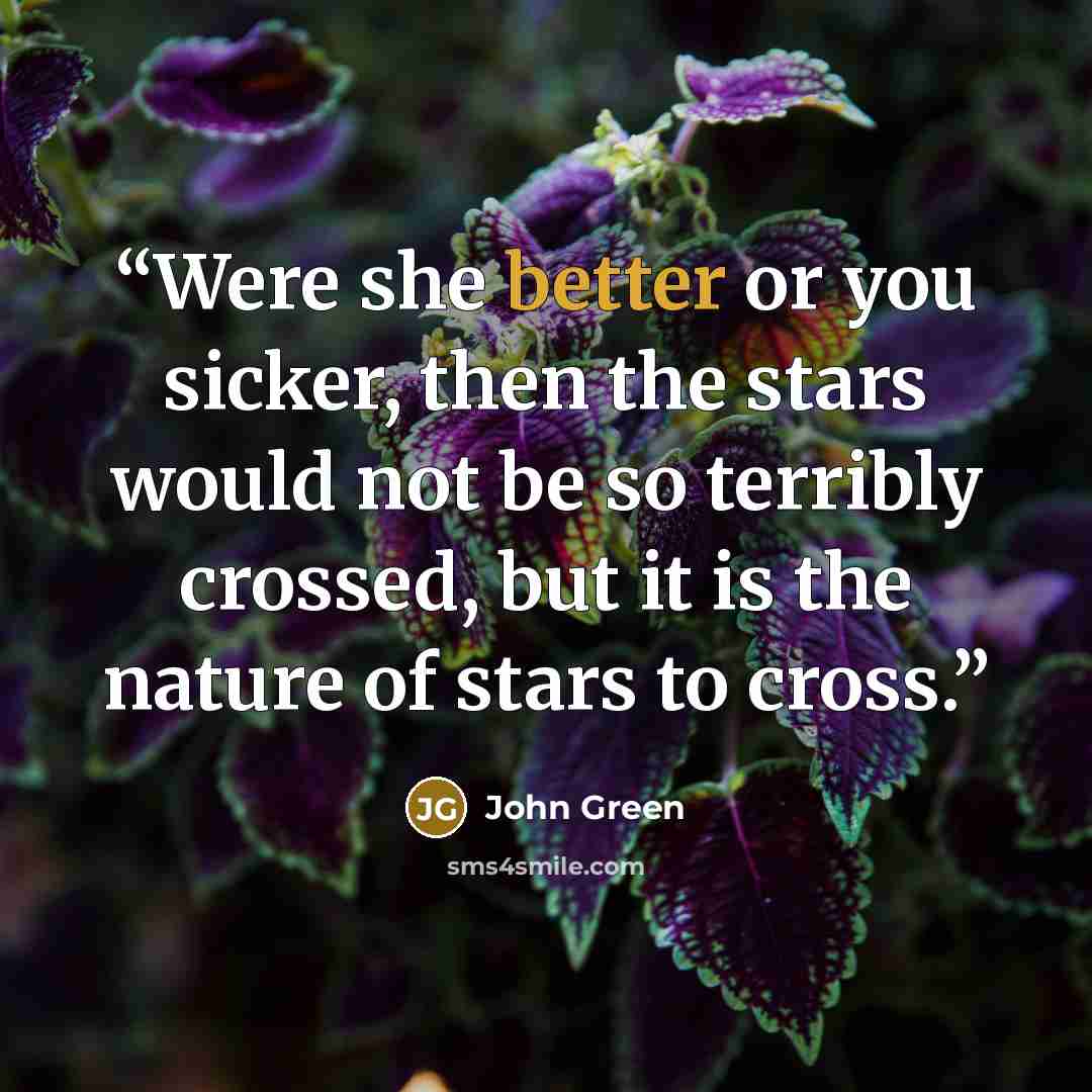 “Were she better or you sicker, then the stars would not be so terribly crossed, but it is the nature of stars to cross.” quote by John Green