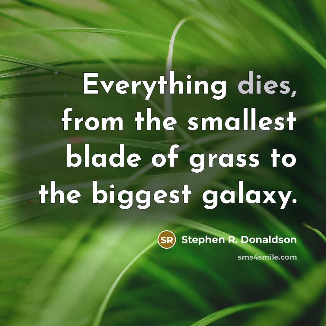 “Everything dies, from the smallest blade of grass to the biggest galaxy.” quote by Stephen R. Donaldson