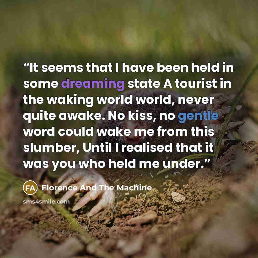 “It seems that I have been held in some dreaming state A tourist in the waking world world, never quite awake. No kiss, no gentle word could wake me from this slumber, Until I realised that it was you who held me under.” quote by Florence And The Machine