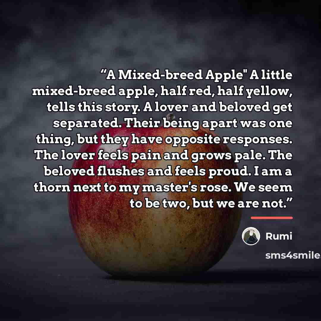 “A Mixed-breed Apple" A little mixed-breed apple, half red, half yellow, tells this story. A lover and beloved get separated. Their being apart was one thing, but they have opposite responses. The lover feels pain and grows pale. The beloved flushes and feels proud. I am a thorn next to my master's…” quote by Rumi