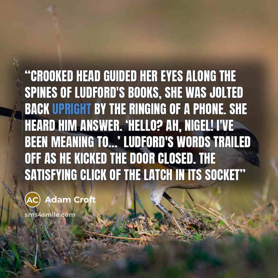 “crooked head guided her eyes along the spines of Ludford's books, she was jolted back upright by the ringing of a phone. She heard him answer. ‘Hello? Ah, Nigel! I've been meaning to…’ Ludford's words trailed off as he kicked the door closed. The satisfying click of the latch in its socket” quote by Adam Croft