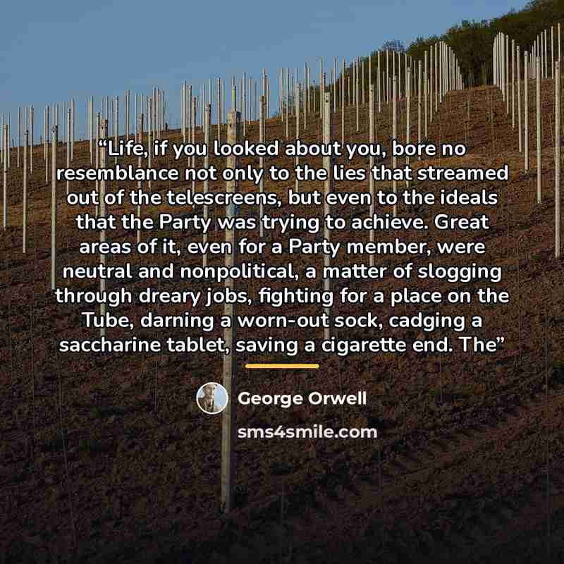 “Life, if you looked about you, bore no resemblance not only to the lies that streamed out of the telescreens, but even to the ideals that the Party was trying to achieve. Great areas of it, even for a Party member, were neutral and nonpolitical, a matter of slogging through dreary jobs, fighting…” quote by George Orwell