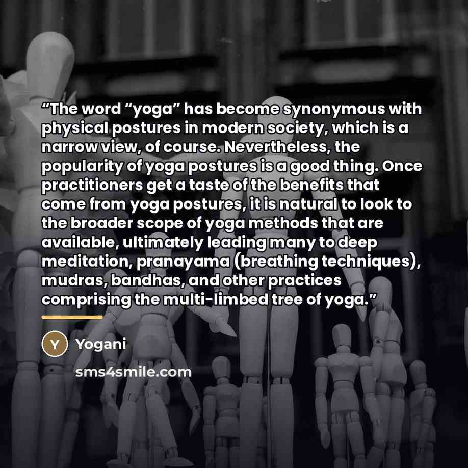 “The word “yoga” has become synonymous with physical postures in modern society, which is a narrow view, of course. Nevertheless, the popularity of yoga postures is a good thing. Once practitioners get a taste of the benefits that come from yoga postures, it is natural to look to the broader scope…” quote by Yogani