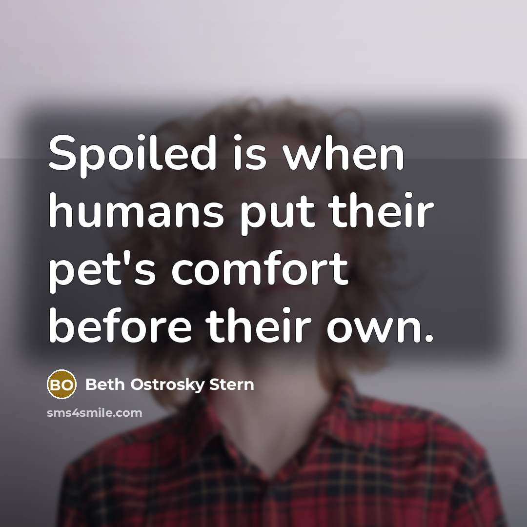 “Spoiled is when humans put their pet's comfort before their own.” quote by Beth Ostrosky Stern