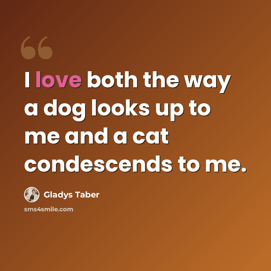“I love both the way a dog looks up to me and a cat condescends to me.” quote by Gladys Taber