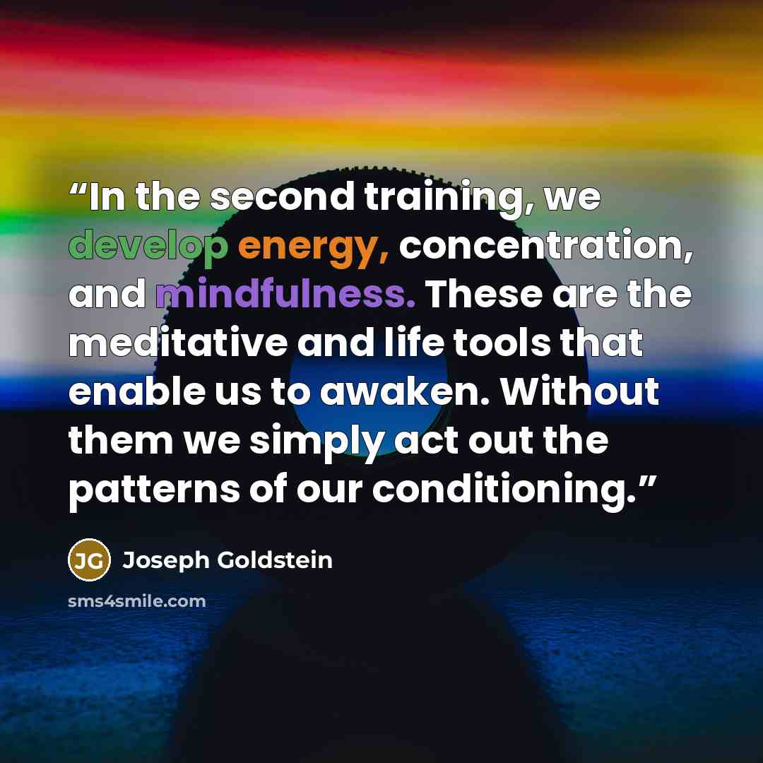 “In the second training, we develop energy, concentration, and mindfulness. These are the meditative and life tools that enable us to awaken. Without them we simply act out the patterns of our conditioning.” quote by Joseph Goldstein