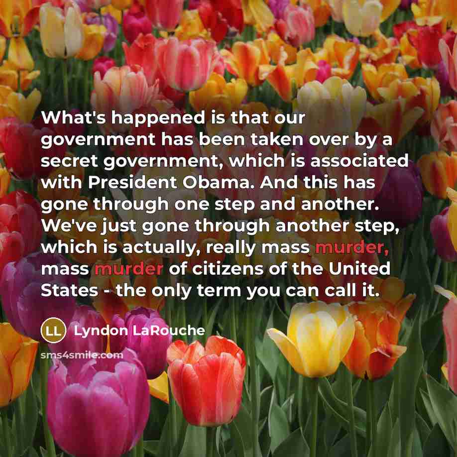 “What's happened is that our government has been taken over by a secret government, which is associated with President Obama. And this has gone through one step and another. We've just gone through another step, which is actually, really mass murder, mass murder of citizens of the United States…” quote by Lyndon LaRouche
