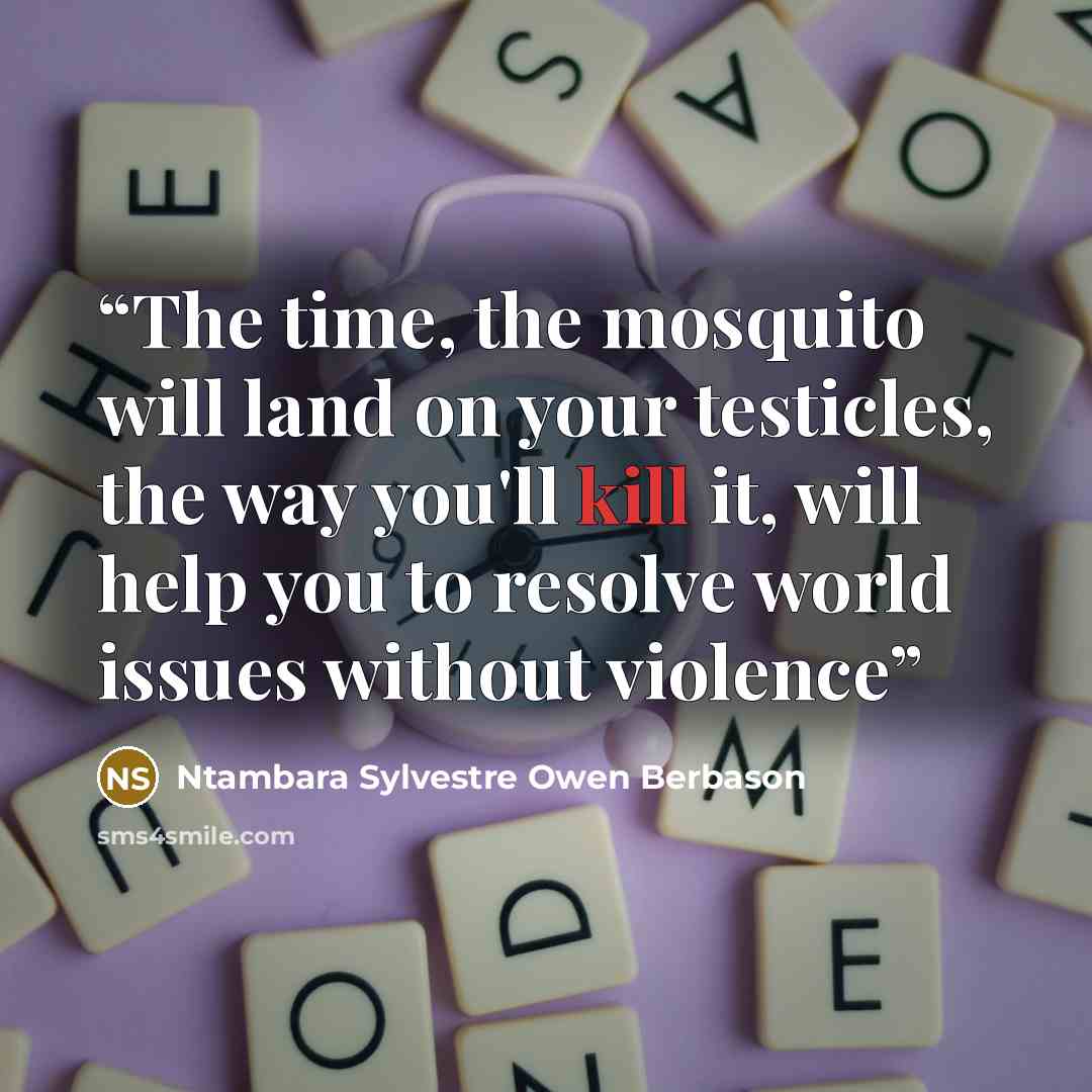 “The time, the mosquito will land on your testicles, the way you'll kill it, will help you to resolve world issues without violence” quote by Ntambara Sylvestre Owen Berbason