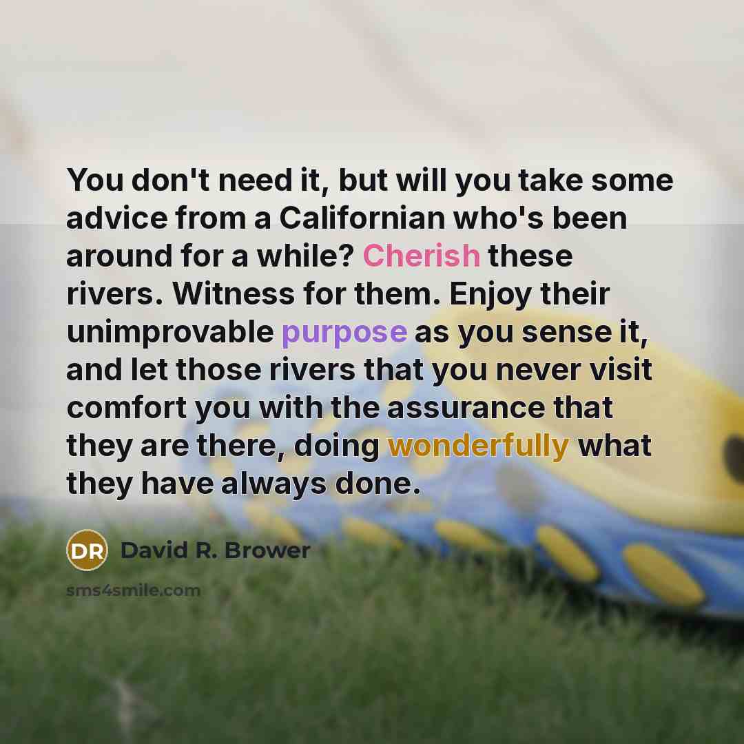 “You don't need it, but will you take some advice from a Californian who's been around for a while? Cherish these rivers. Witness for them. Enjoy their unimprovable purpose as you sense it, and let those rivers that you never visit comfort you with the assurance that they are there, doing…” quote by David R. Brower