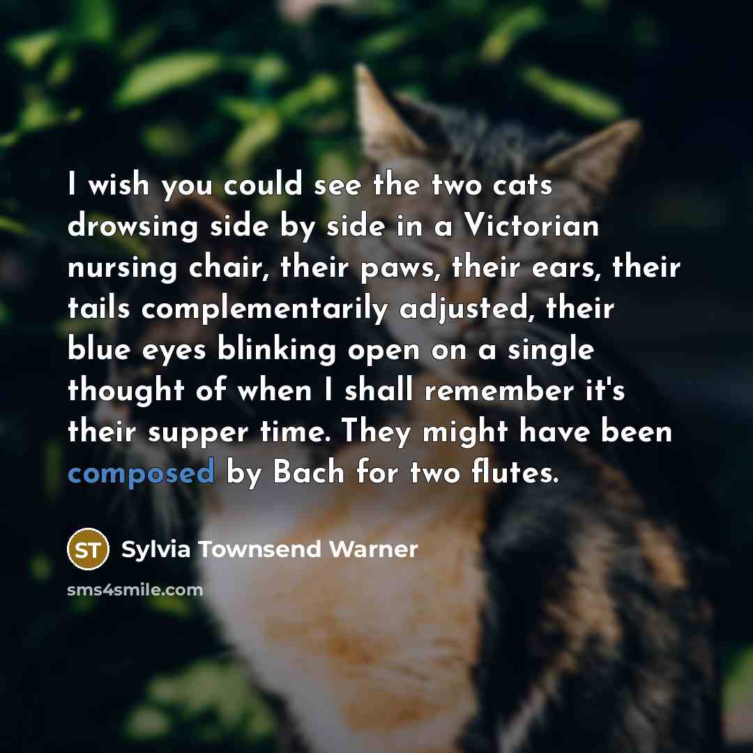 “I wish you could see the two cats drowsing side by side in a Victorian nursing chair, their paws, their ears, their tails complementarily adjusted, their blue eyes blinking open on a single thought of when I shall remember it's their supper time. They might have been composed by Bach for two flutes.” quote by Sylvia Townsend Warner