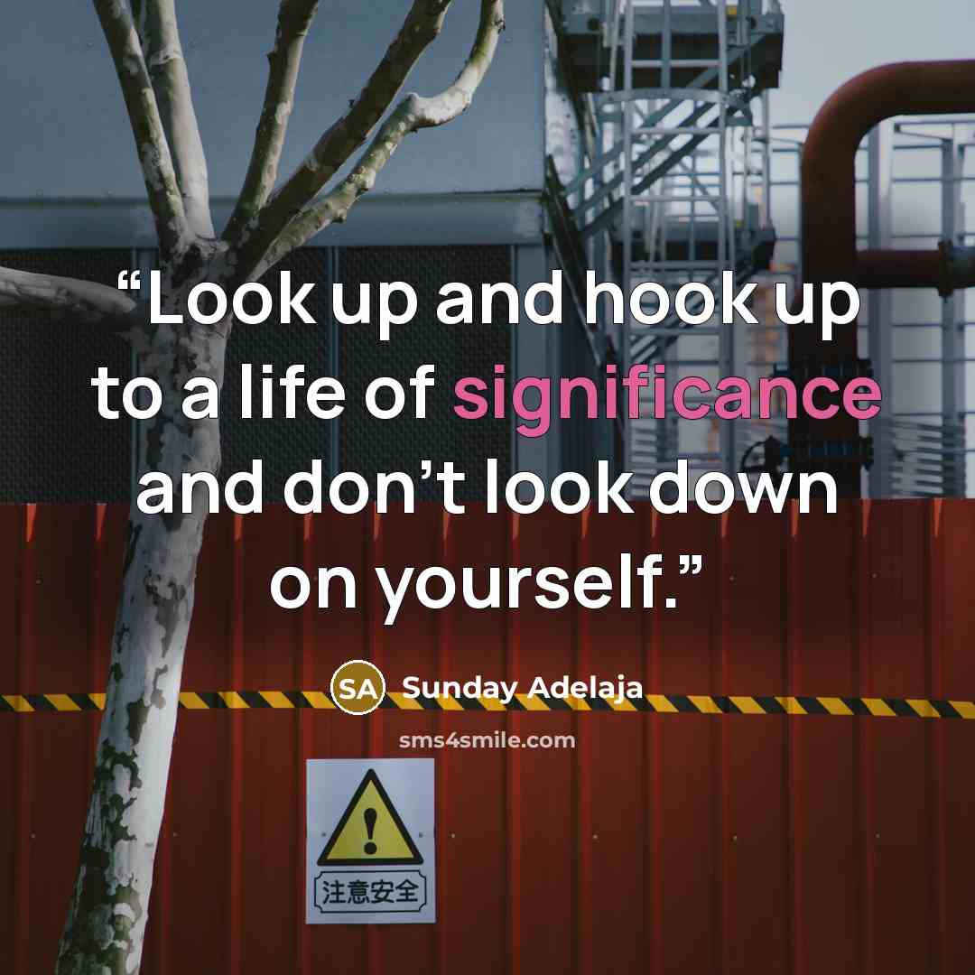 “Look up and hook up to a life of significance and don’t look down on yourself.” quote by Sunday Adelaja