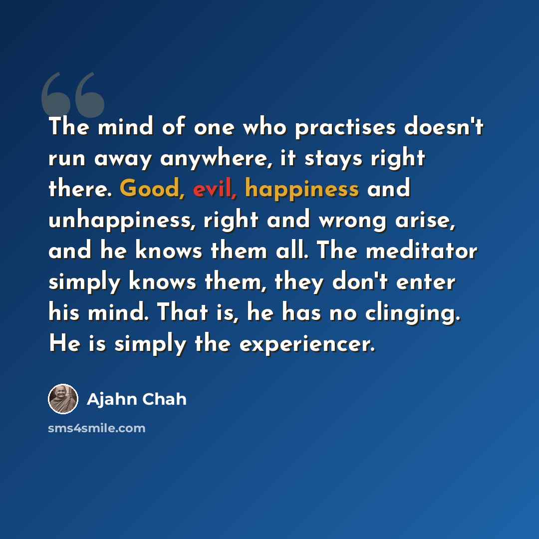 “The mind of one who practises doesn't run away anywhere, it stays right there. Good, evil, happiness and unhappiness, right and wrong arise, and he knows them all. The meditator simply knows them, they don't enter his mind. That is, he has no clinging. He is simply the experiencer.” quote by Ajahn Chah