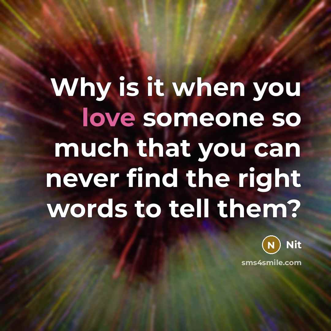 “Why is it when you love someone so much that you can never find the right words to tell them?” quote by Nit